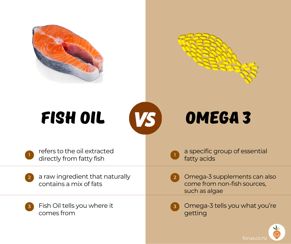 Fish Oil vs Omega-3: What’s the Real Difference?