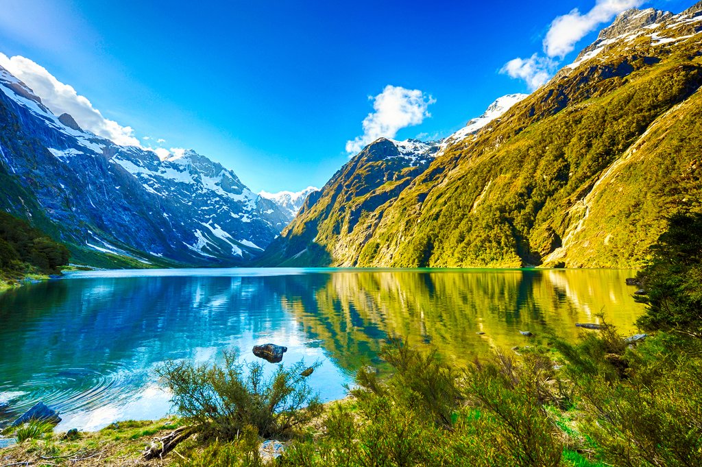 Why New Zealand Health Products Are Trusted Around the World