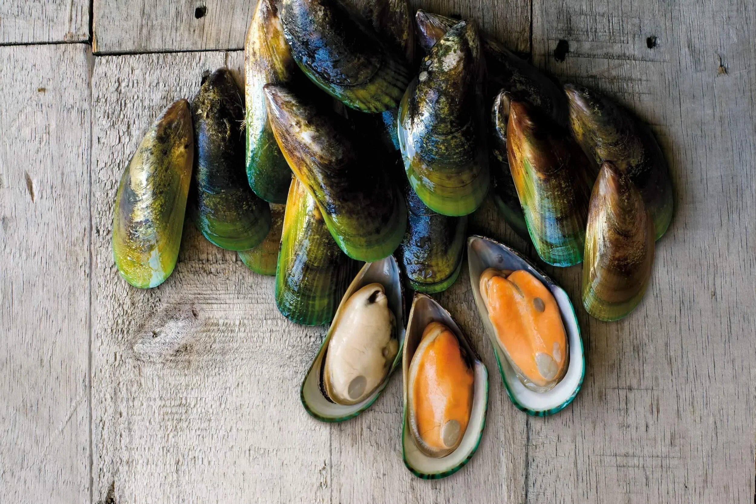 A Unique New Zealand Superfood: Green-Lipped Mussel
